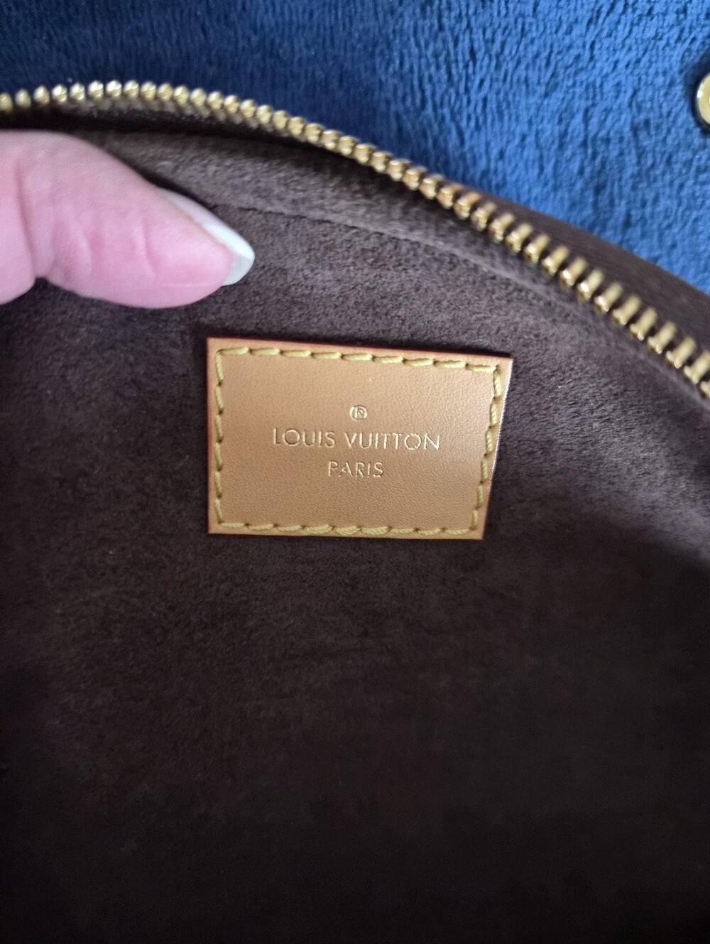 Louis Vuitton Monogram Canvas Mini Bum Belt Bag - Picture 11 of 16